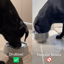 Load image into Gallery viewer, ShinyBowl®: Zero Water Spills
