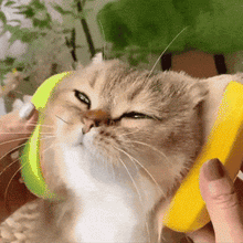 Indlæs billede til gallerivisning Shinycat®: De stomende kattenborstel
